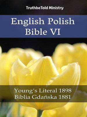 cover image of English Polish Bible VI
